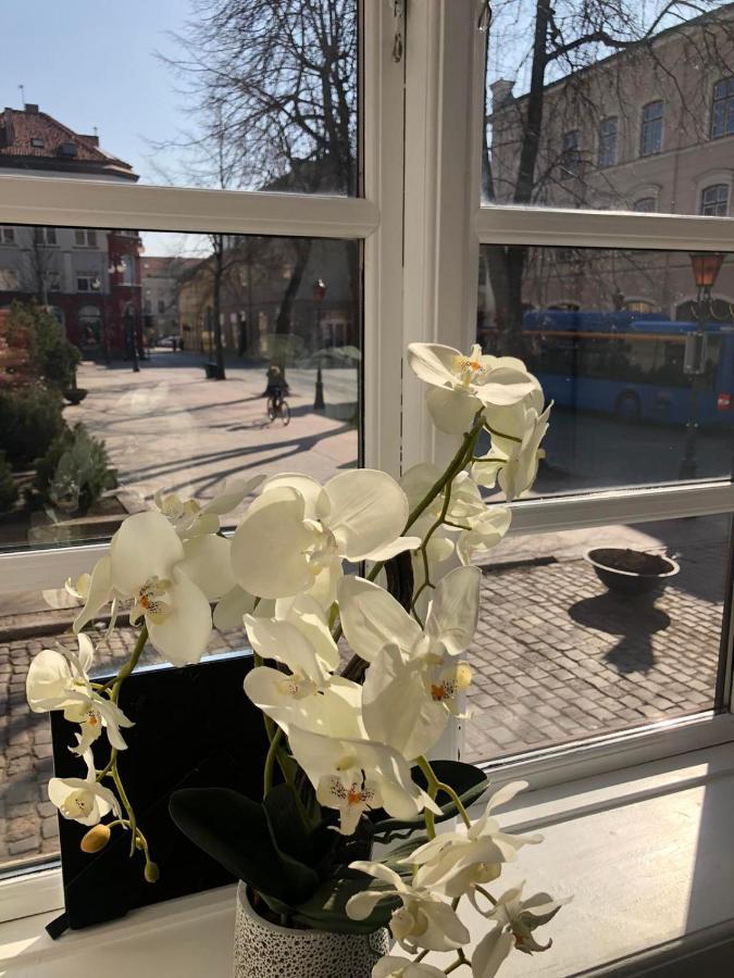 Tiltu 5 Jacuzzi Apartment Κλαϊπέντα Εξωτερικό φωτογραφία